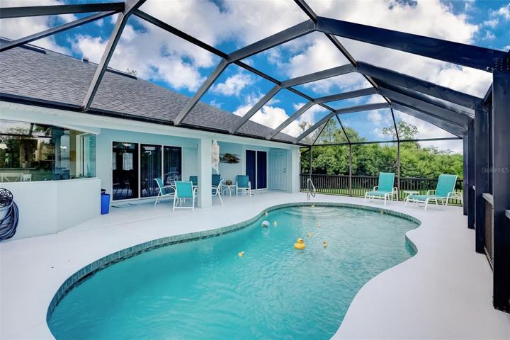 Gorgeous pool and large lanai area!