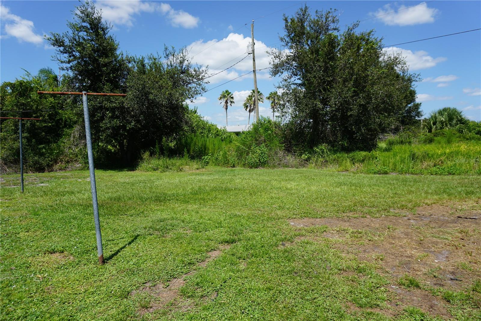 Back yard