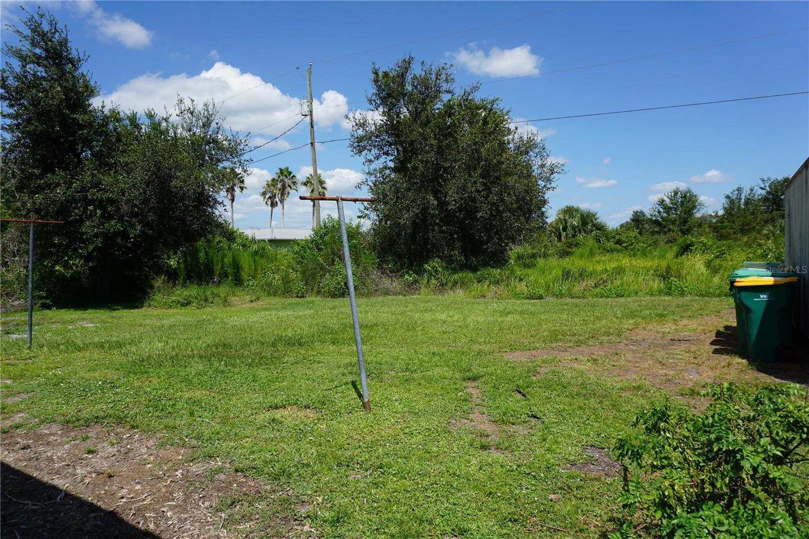 Back yard