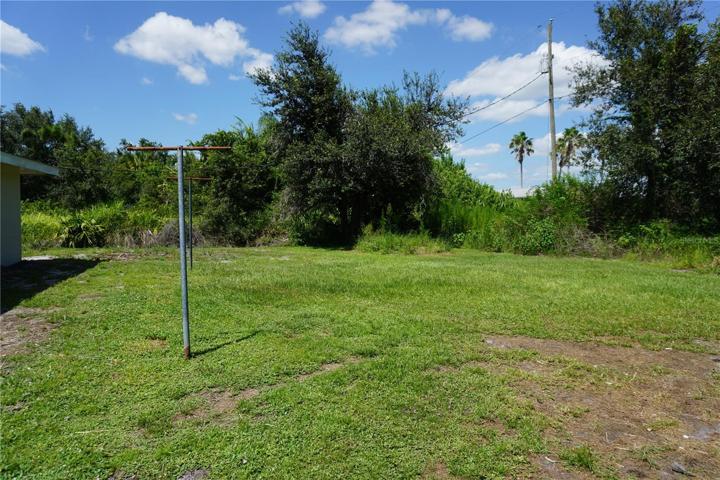 Back yard