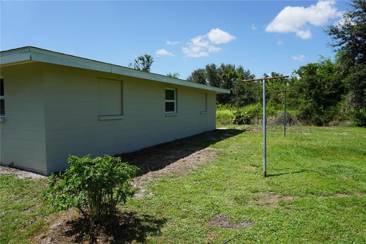 Back yard