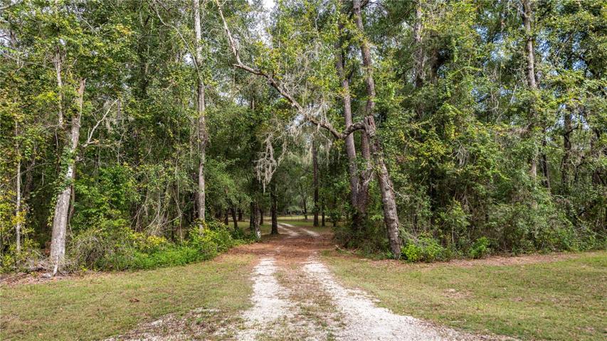 Driveway
