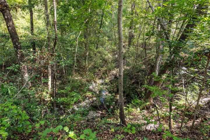 Small creek runs behind the property.