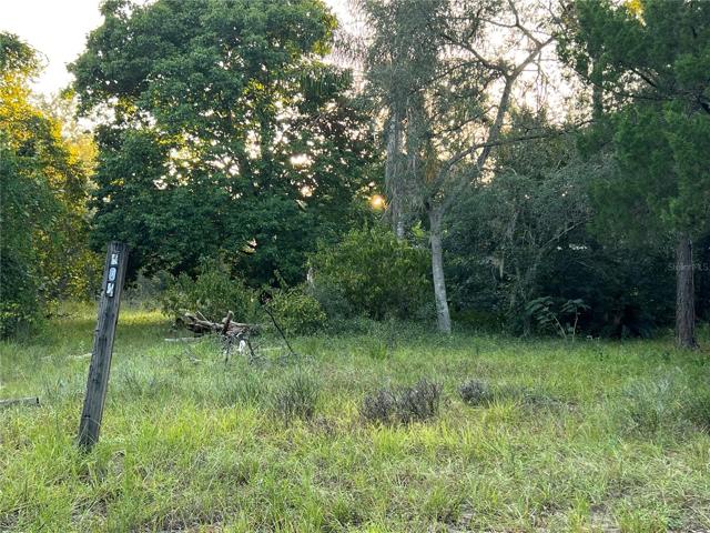 From Road toward Property