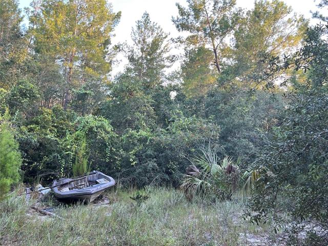 Toward Rear of Property