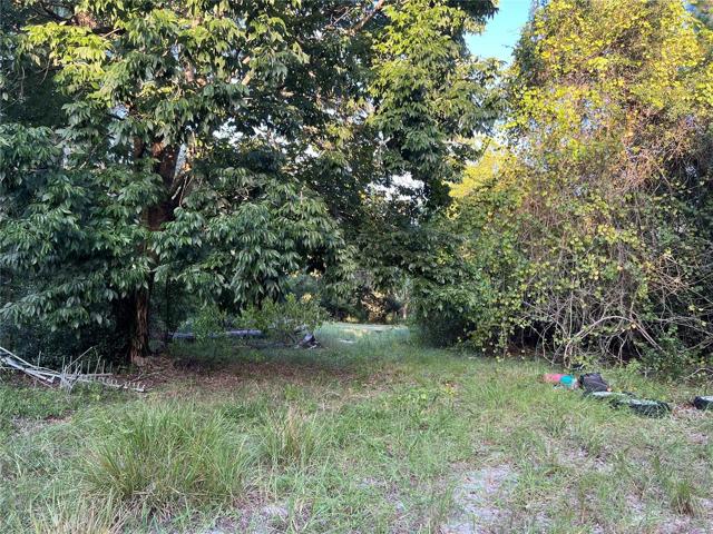 From Rear of Property toward Front