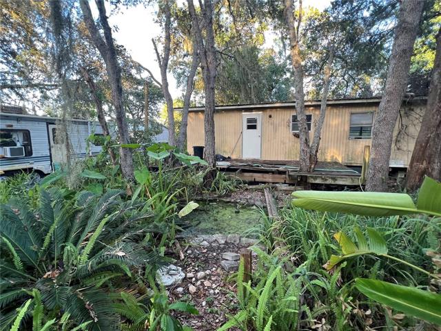 Fish Pond needs work