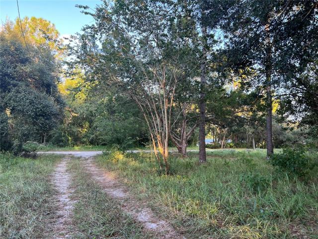 Driveway