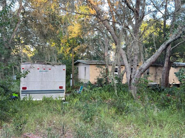 Rear and RV