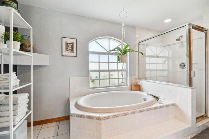 Garden Tub With Frosted Bath Window
