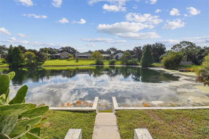 Pond View from 2nd tier of yard