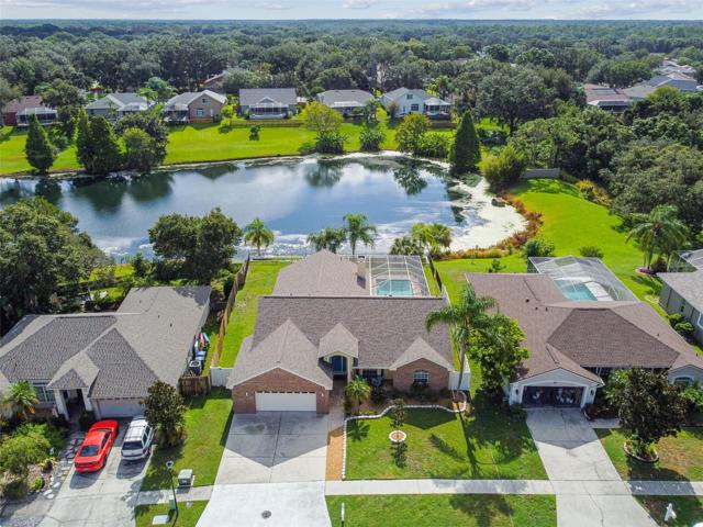 4532 Oak River Circle, Valrico Clean Landscaping