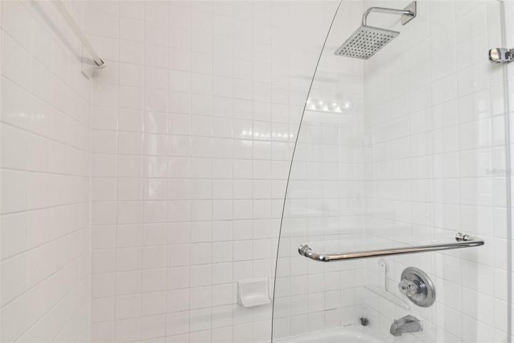 Guest Bath Rain Shower Head and Modern Glass Door
