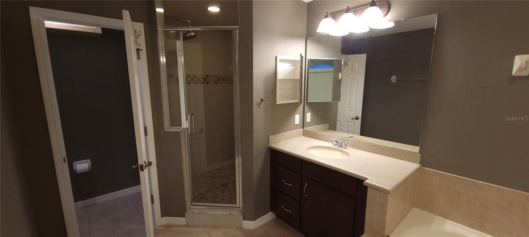 Master bathroom