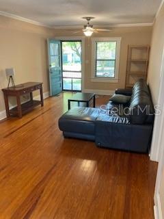 Living Room from back door/kitchen