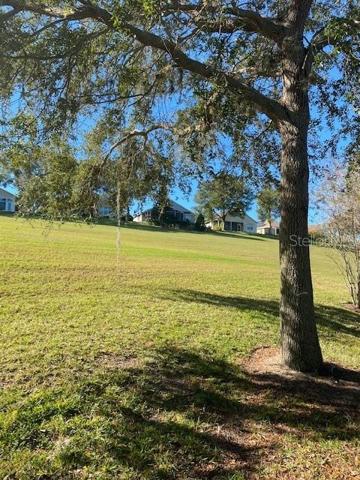 LOOKING UP THE HILL TO THE RIGHT.