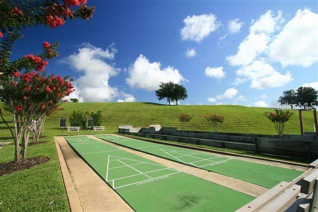 SHUFFLEBOARD SURROUNDED BY CRAPE MYRTLE TREES.