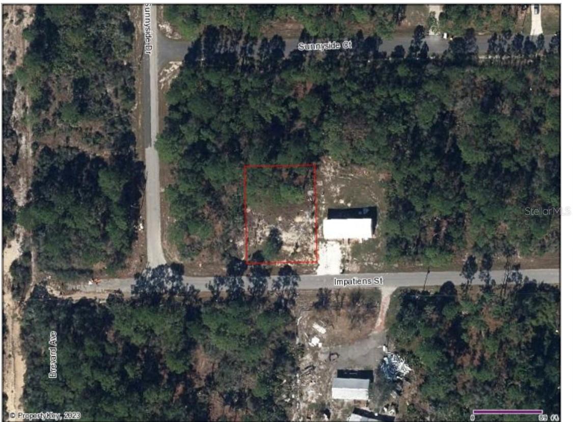 Lake Placid, Florida 33852, 0 , 0 ,0,Land,For Sale,IMPATIENS,0,OM663541