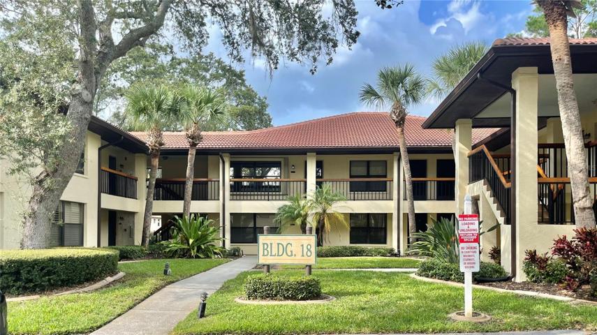 Beautiful courtyard approach to your unit Privately tucked away in left back ground level corner unit