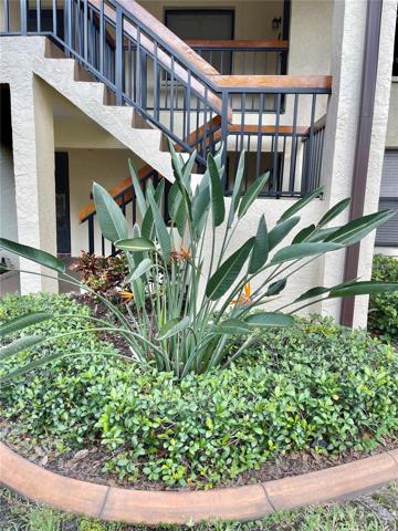 Beautifully landscaped with tropical bushes