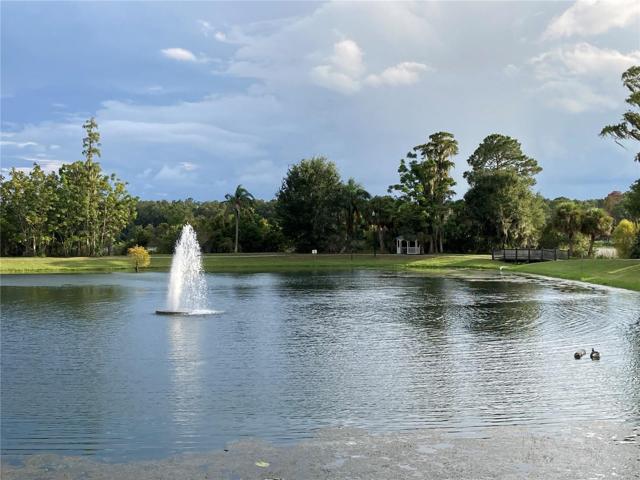 Community pond