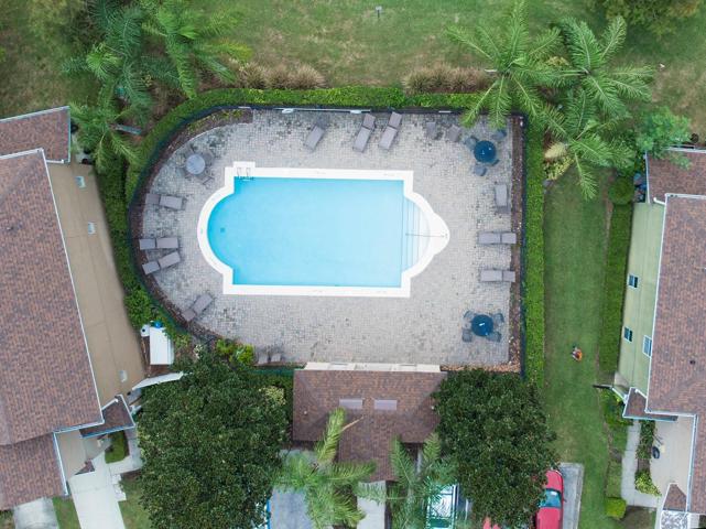 Aerial view of community pool.