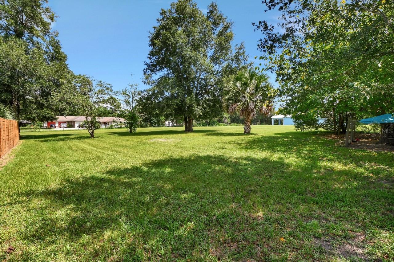 BACK YARD
