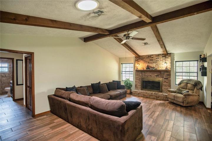Wood burning fireplace