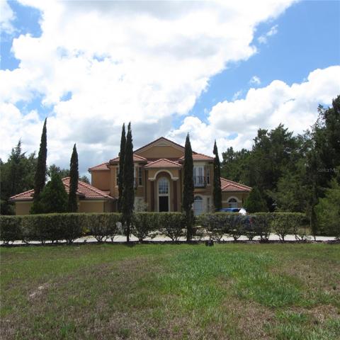 Beautiful elevation