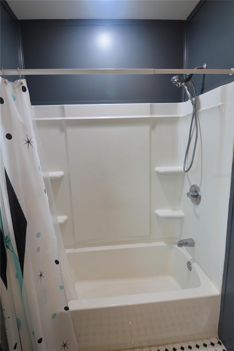 Main home guest bathroom