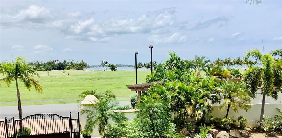 Ocean view
