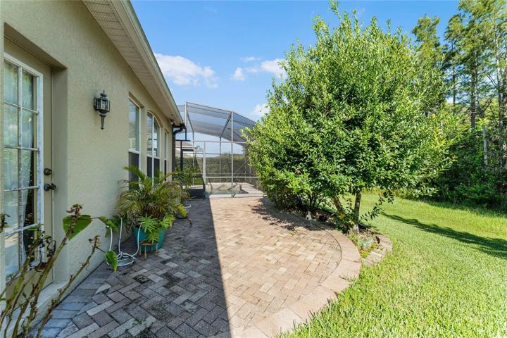 Backyard paver deck