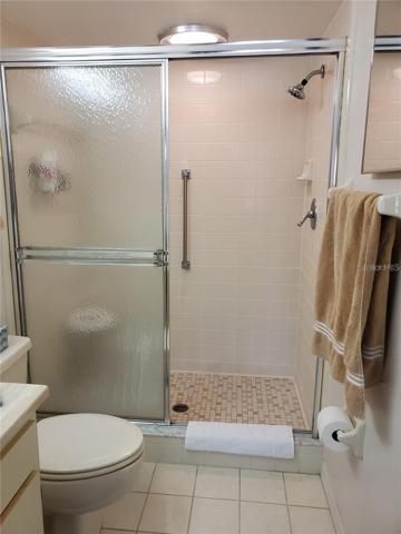 Master Bathroom Shower