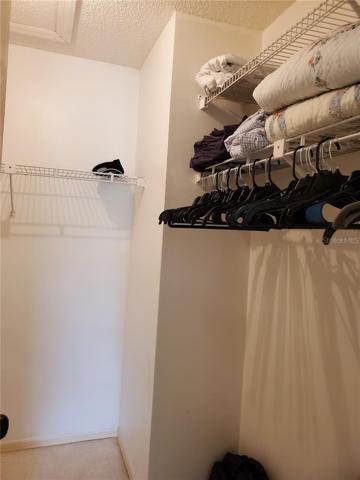 Large walk-in Closet
