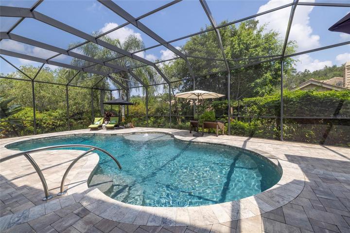 Wooded view from the pool