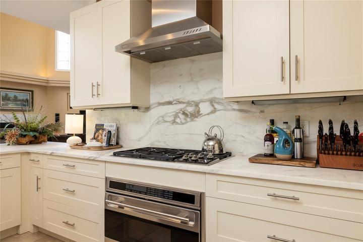 Stainless steel gas oven and cooktop with hood