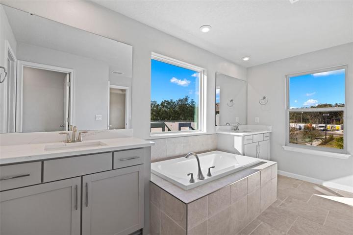 Owner's Bath Oasis Soaking Tub