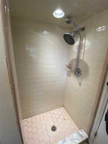 Master Shower