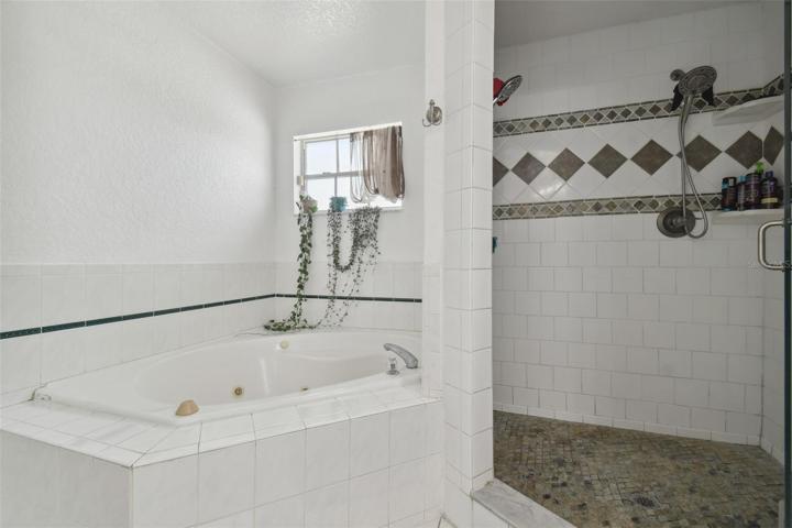 Owners en suite bath with a jacuzzi tub and separate shower