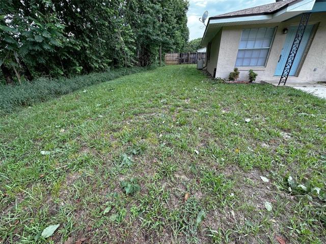 SIDE YARD