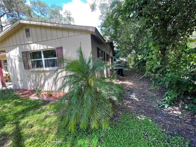 SIDE YARD