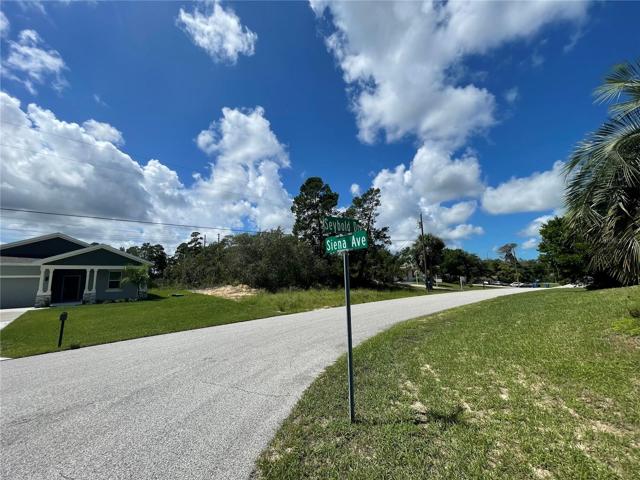 Charming vacant lot is waiting for it's new owner to build their new home! Ready for some sweet country living in beautiful Spring Hill? You will LOVE the location of this spacious lot! Come check it out!