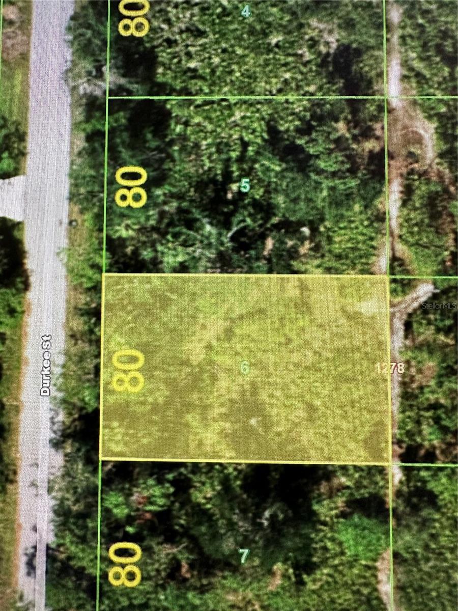 Port Charlotte, Florida 33980, 0 , 0 ,0,Land,For Sale,DURKEE ST,0,T3469839