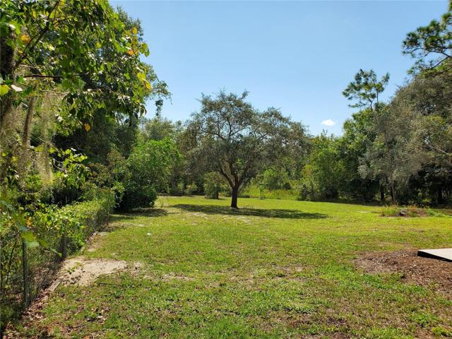 Back yard