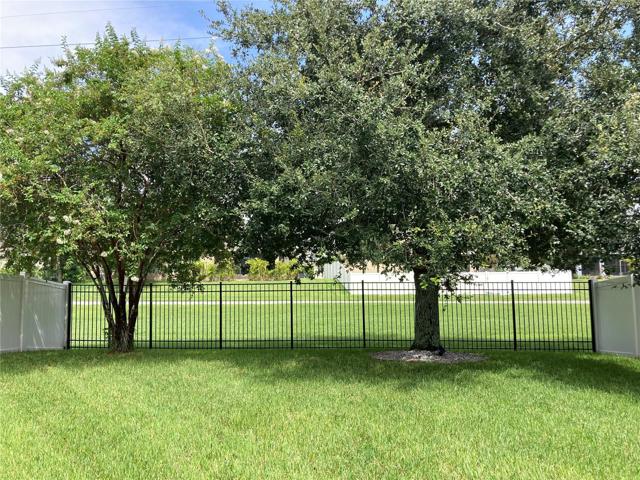 Backyard - fenced