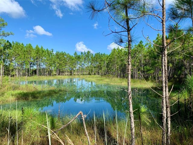 Pond on property, 2 acres