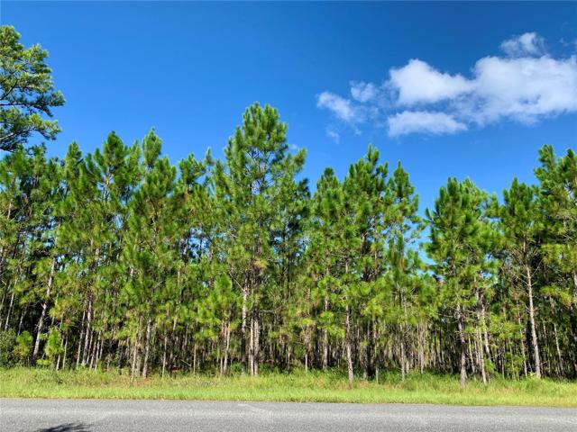 2 acres with no time limit to build
