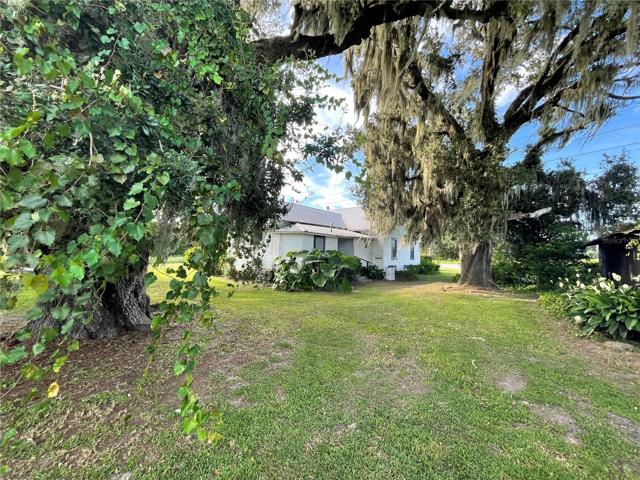 House and Yard View
