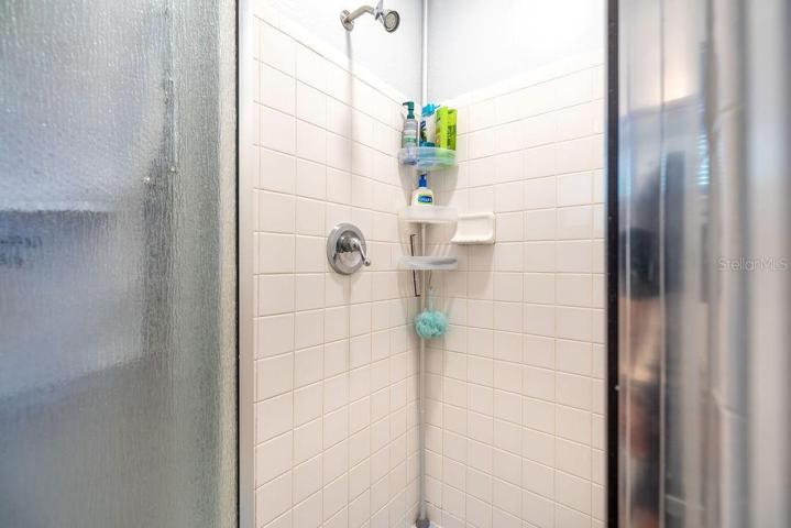 Primary Bathroom Shower