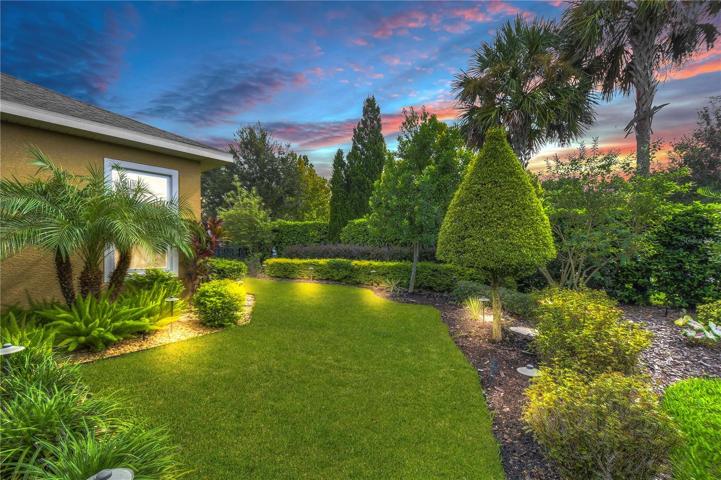 Professional outdoor lighting!